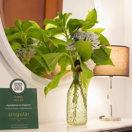 Luxury Singular Apartamento 4 Dormitorios Apartment Santiago de Compostela