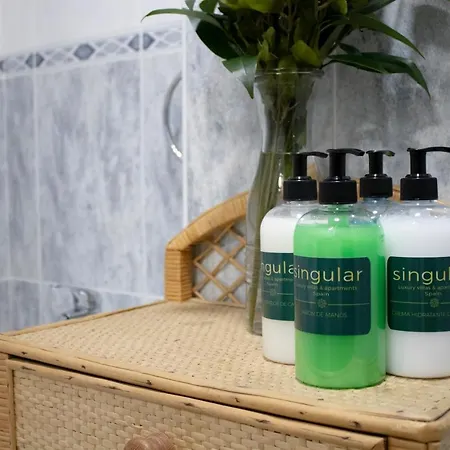 Apartment Luxury Singular Apartamento 4 Dormitorios Santiago de Compostela